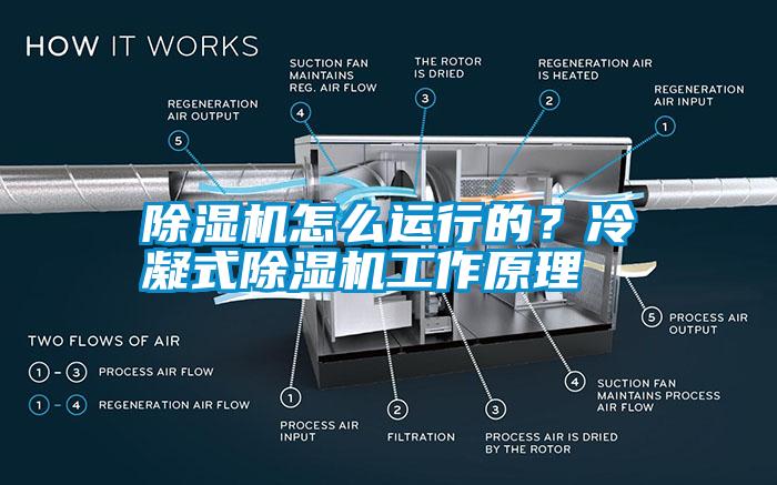 除湿机怎么运行的？冷凝式除湿机工作原理