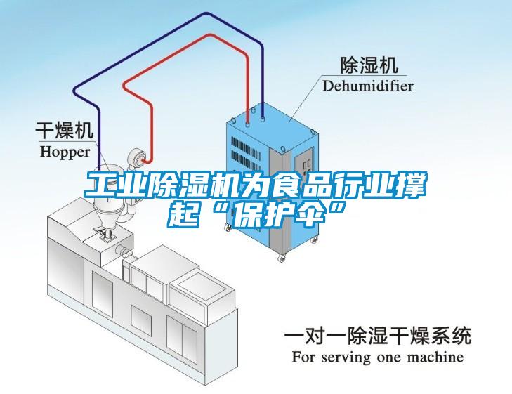 工业除湿机为食品行业撑起“保护伞”