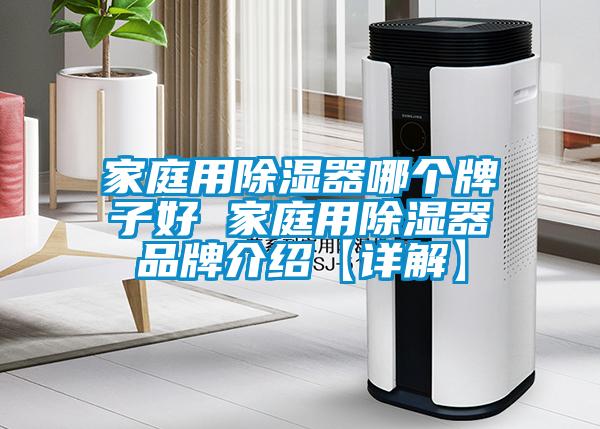 家庭用除湿器哪个牌子好 家庭用除湿器品牌介绍【详解】