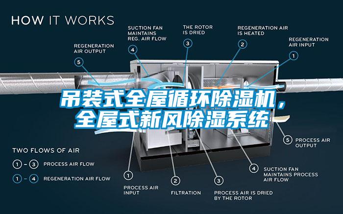 吊装式全屋循环除湿机，全屋式新风除湿系统