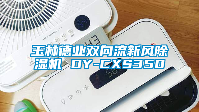 玉林德业双向流新风除湿机 DY-CXS350