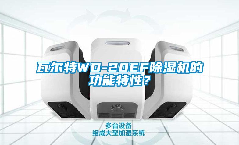 瓦尔特WD-20EF除湿机的功能特性？