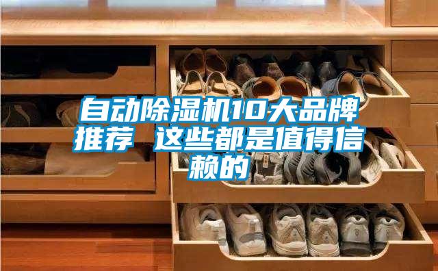 自动除湿机10大品牌推荐 这些都是值得信赖的