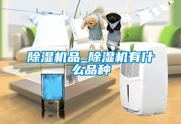 除湿机品_除湿机有什么品种