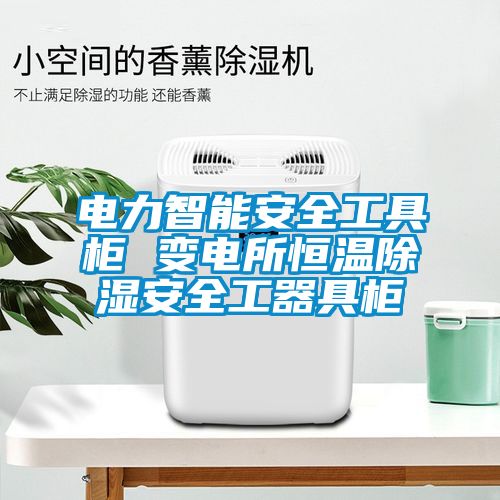 电力智能安全工具柜 变电所恒温除湿安全工器具柜