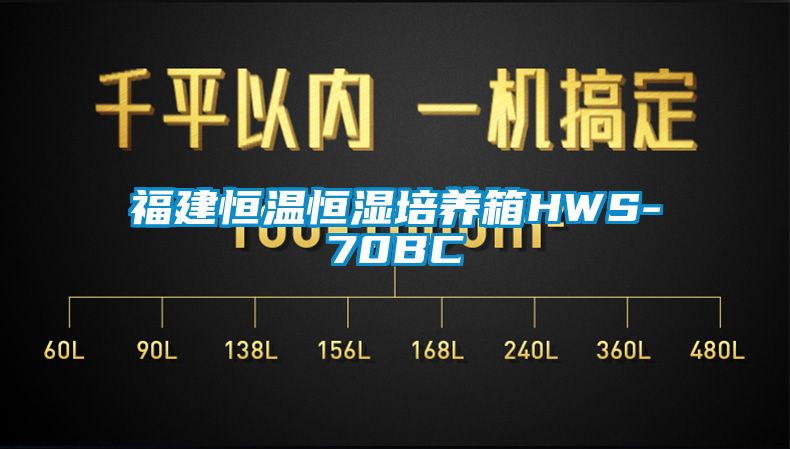 福建恒温恒湿培养箱HWS-70BC