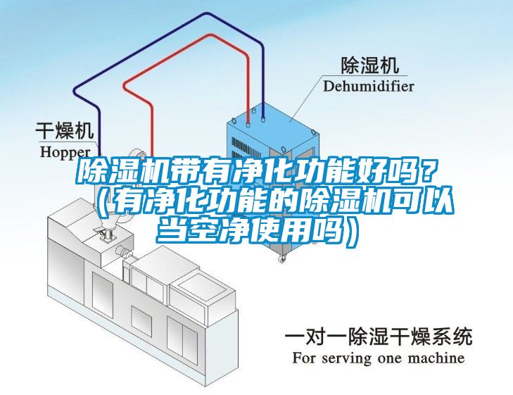 除湿机带有净化功能好吗？（有净化功能的除湿机可以当空净使用吗）