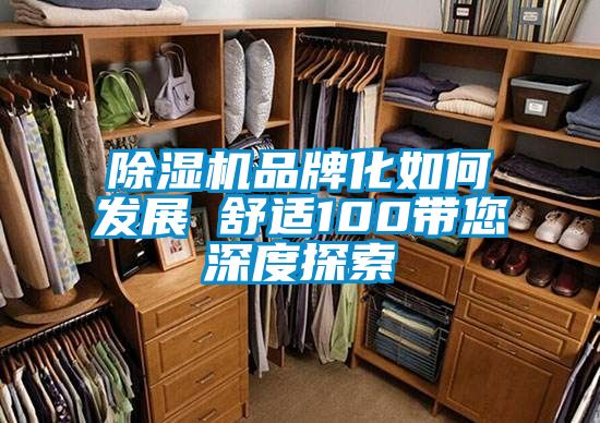 除湿机品牌化如何发展　　舒适100带您深度探索