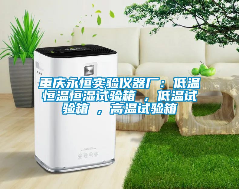 重庆永恒实验仪器厂：低温恒温恒湿试验箱 , 低温试验箱 , 高温试验箱