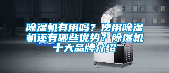 除湿机有用吗？使用除湿机还有哪些优势？除湿机十大品牌介绍