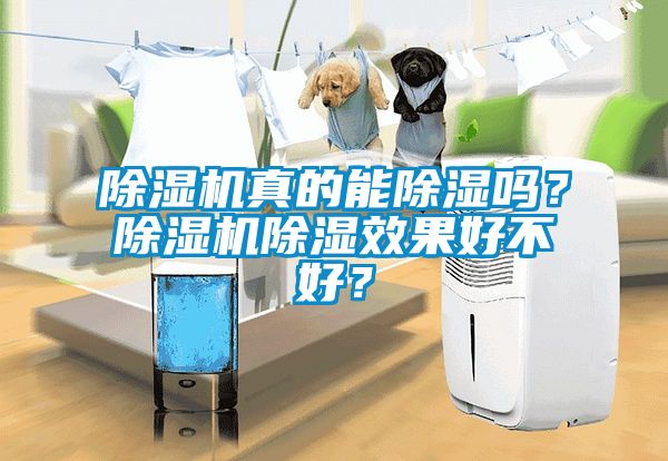 除湿机真的能除湿吗？除湿机除湿效果好不好？