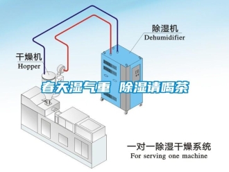 行业新闻春天湿气重 除湿请喝茶