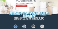 除湿机什么牌子好？除湿机品牌推荐