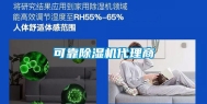 可靠除湿机代理商