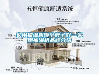 企业新闻家用抽湿机哪个牌子好—家用抽湿机品牌介绍