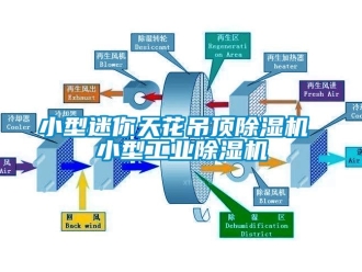 常见问题小型迷你天花吊顶除湿机 小型工业除湿机