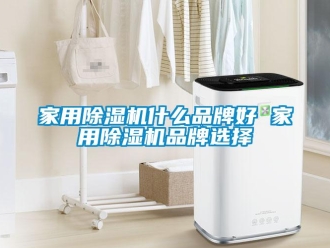 企业新闻家用除湿机什么品牌好 家用除湿机品牌选择