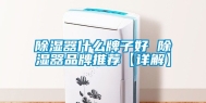 除湿器什么牌子好 除湿器品牌推荐【详解】