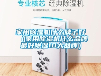 企业新闻家用除湿机什么牌子好（家用除湿机什么品牌最好除湿10大品牌）