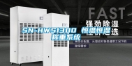 SN-HWS1300 恒温恒湿称重系统