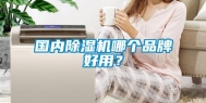 国内除湿机哪个品牌好用？