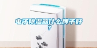 电子除湿器什么牌子好？