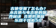 吉他受潮了怎么办？木吉他与电吉他的保养秘诀 吉他防潮箱 乐器干燥柜50