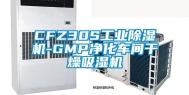 CFZ30S工业除湿机-GMP净化车间干燥吸湿机