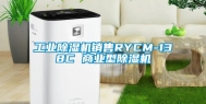 工业除湿机销售RYCM-138C 商业型除湿机