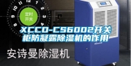 XCCD-CS6002开关柜防凝露除湿机的作用