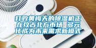 打败黄梅天的除湿机正在攻占北方市场 多元化成为未来需求新模式