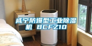 咸宁防爆型工业除湿机 BCFZ10