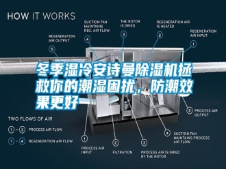 行业新闻冬季湿冷安诗曼除湿机拯救你的潮湿困扰，防潮效果更好