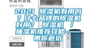 2021 除湿机有用吗？什么品牌的除湿机好用？ 除湿机 ／ 抽湿机推荐攻略——带你避坑